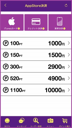 熟年LINKの料金：ポイント購入画面