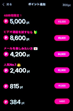 ロケットのポイント購入画面と料金