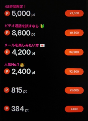 ソルト(SALT)のポイント購入画面と料金